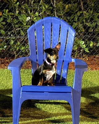 Barkyard n' Brews by null