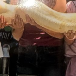 Project THINK - My 10-year-old holding a snake.