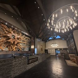 Moskowitz Dermatology
