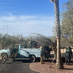 Acacia Nursery