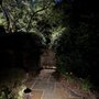 Photo of Nite-Lite Landscape Lighting