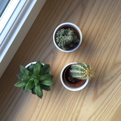 HAPPY guesthouse by null