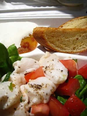 The Sentinel by null