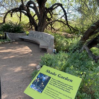 Desert Botanical Garden - Shade Garden - Botanical Gardens Near Me - Phoenix, Arizona Desert Botanical Garden - Shade Garden - Botanical Gardens Near Me - Phoenix, Arizona