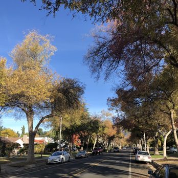 Millie's Cafe - Pasadena - Located by a nice tree-lined residential area - Breakfast & Brunch Near Me - Pasadena, California