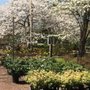 Photo of Peterson's Nursery
