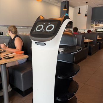 Umai Revolving Sushi - Cat robot serves drinks - Sushi Bars Near Me - Victor, New York Umai Revolving Sushi - Cat robot serves drinks - Sushi Bars Near Me - Victor, New York