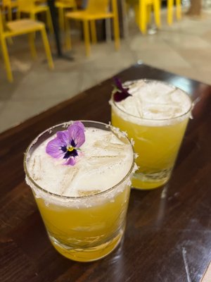 Fiorella Polk by null