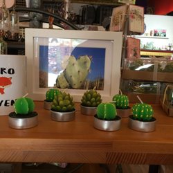 Bolshevita - Cacti, and more......