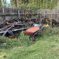 Sibi Firewood - Before - they removed old, dead wood and cleared and cleaned area before stacking the wood.