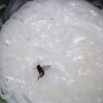 Pho 7 - the fly that was in my pho noodles in shape of their container.. but they think I framed it lol...right. - Vietnamese Near Me - Kent, Washington