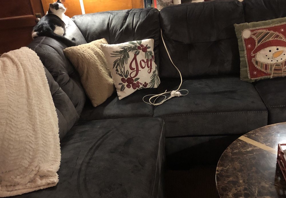 EVANS FURNITURE GALLERIES 45 Photos & 109 Reviews Furniture Stores