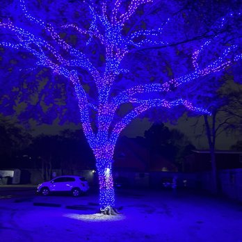 Exoservices - Tree lighting. - Pressure Washers Near Me - Spring, Texas