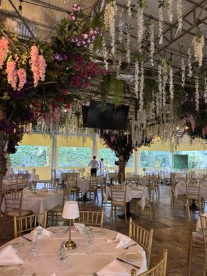 King Umberto by null