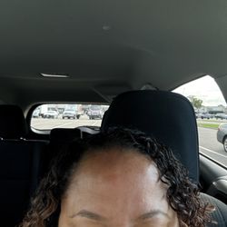 Rose Beauty Brows