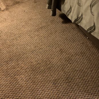 Quality Inn Fort Campbell - Bugs all over!! - Hotels Near Me - Oak Grove, Kentucky Quality Inn Fort Campbell - Bugs all over!! - Hotels Near Me - Oak Grove, Kentucky