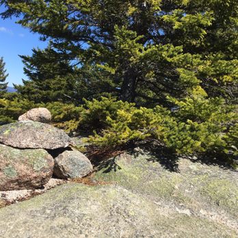 Cadillac Mountain North Ridge Trail - Trail marker or accidental click of the camera - Hiking Near Me Cadillac Mountain North Ridge Trail - Trail marker or accidental click of the camera - Hiking Near Me