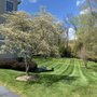 Photo of Villatoros Lawn and Landscape