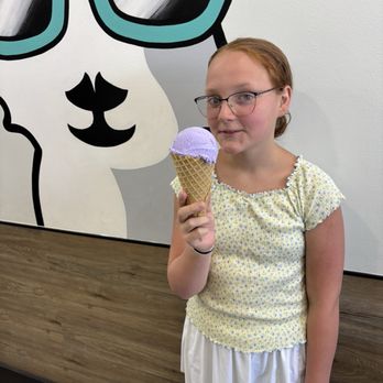 The Dolly Llama - Super cool flavors! - Ice Cream & Frozen Yogurt Near Me - Yucaipa, California