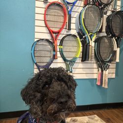 Volleys Tennis Shop