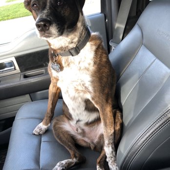 InBark - Dog Walkers Near Me - Tigard, Oregon InBark - Dog Walkers Near Me - Tigard, Oregon