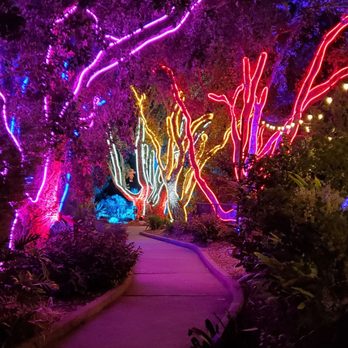 Lightscape San Diego - Botanical Gardens Near Me - Encinitas, California Lightscape San Diego - Botanical Gardens Near Me - Encinitas, California