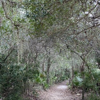 Enchanted Forest Sanctuary - Hiking Near Me - Titusville, Florida Enchanted Forest Sanctuary - Hiking Near Me - Titusville, Florida