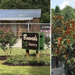 Bill Bownds Nursery