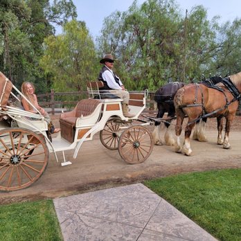 Temecula Carriage Company - Wine Tours Near Me - Temecula, California