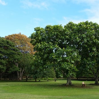 Moanalua Gardens - Lots of shady secluded areas for a romantic daytime date. Today: a blanket, wine, and snacks? Tomorrow: the wedding chapel! - Parks Near Me - Honolulu, Hawaii Moanalua Gardens - Lots of shady secluded areas for a romantic daytime date. Today: a blanket, wine, and snacks? Tomorrow: the wedding chapel! - Parks Near Me - Honolulu, Hawaii