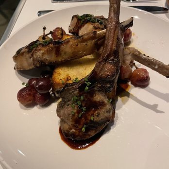 Baba On Central - Lamb chops - Greek Near Me - St. Petersburg, Florida Baba On Central - Lamb chops - Greek Near Me - St. Petersburg, Florida