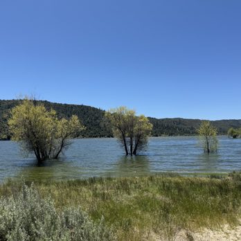 Lake Hemet - Water touched trees... - Hiking Near Me - Mountain Center, California