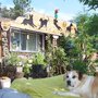 Photo of Whisker Manor