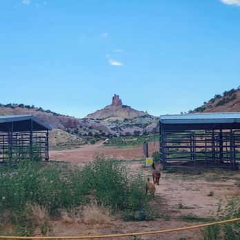 Red Rock State Park - Weeds and loose dogs! - Parks Near Me - Gallup, New Mexico