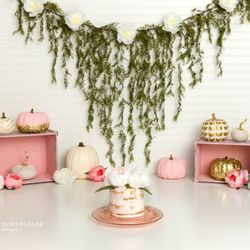 Three Peas in a Pod Cupcakery - Smash cake made for Sherry Dornblaser Photography