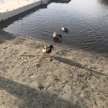 4 Island Lake - Our new friends - Fishing Near Me - Tehachapi, California