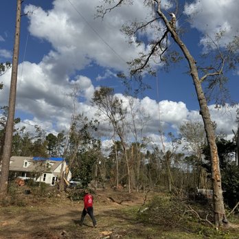 Southern Roots Tree Services - Tree Services Near Me - Watkinsville, Georgia Southern Roots Tree Services - Tree Services Near Me - Watkinsville, Georgia