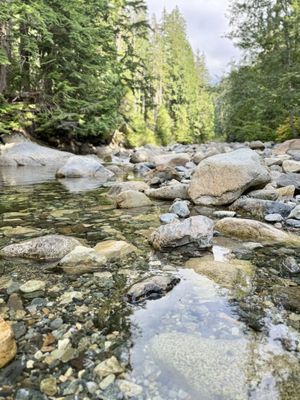 Franklin Falls Trailhead by null