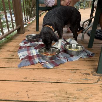 Marina Cafe - Peanut butter, bacon and eggs for your dogs. - Cafes Near Me - Entriken, Pennsylvania