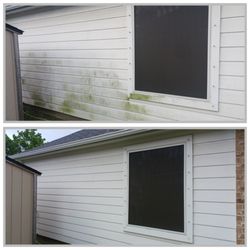 Salty Sea Pressure Washing - Mold and Mildew clingling to your home. We can take care of that for you!