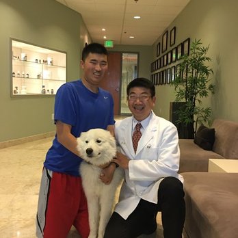 Hwang Family Chiropractic - Dr. Hwang First time meeting my Pup - Chiropractors Near Me - Milpitas, California Hwang Family Chiropractic - Dr. Hwang First time meeting my Pup - Chiropractors Near Me - Milpitas, California
