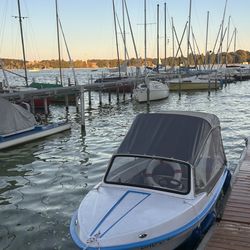Wannsee - Wannsee im Herbst 2025