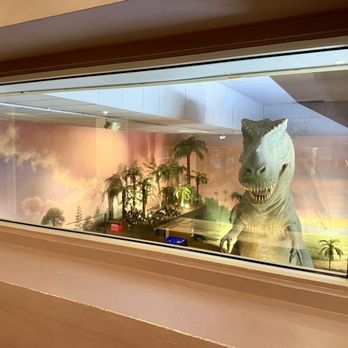 Springfield Museums - Watch out! - Museums Near Me - Springfield, Massachusetts