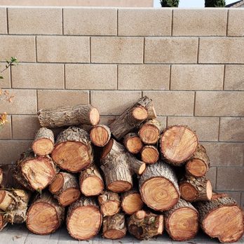 Lucero Tree Service - Tree Services Near Me Lucero Tree Service - Tree Services Near Me
