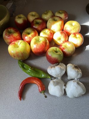 Brosi's Sugartree Farms by null