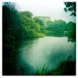 Appelhoffweiher