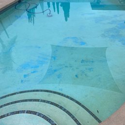 Our pool before Our pool before