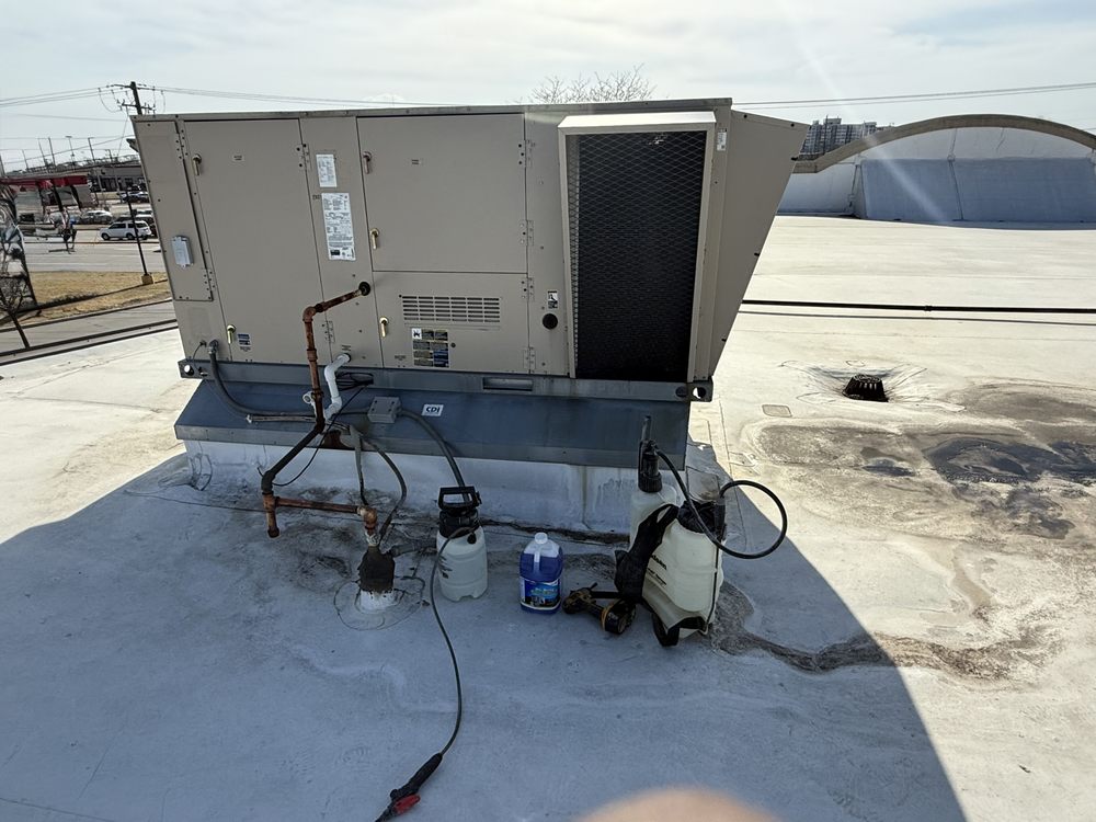 Slide of Only Foster Home Services