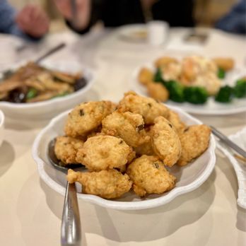 woomyshipping（HanDam）　0310 Codman 37-1503 Rogers Hysterectomy Forceps 10