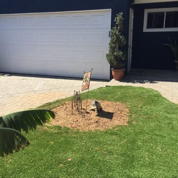 Jimmie's Tree Service - Perfectly done right - Tree Services Near Me Jimmie's Tree Service - Perfectly done right - Tree Services Near Me